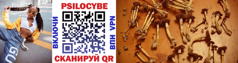 Псилоцибиновые грибы Psilocybe  Мамоново 